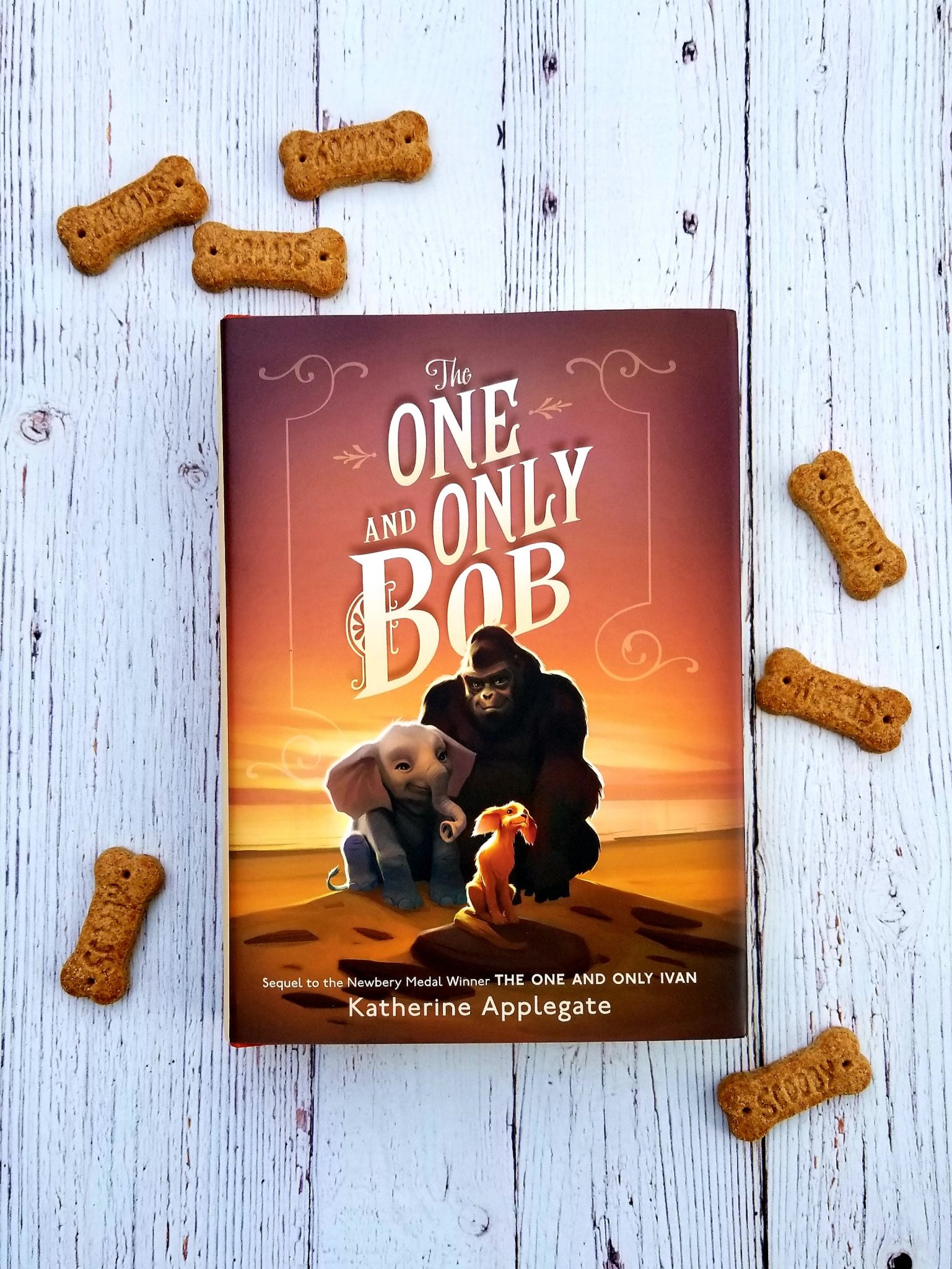 one and only bob book
